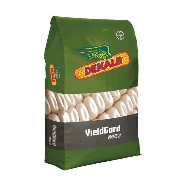 CORN_Green_Bag_White_Corn_Dekalb_carousel_image_1