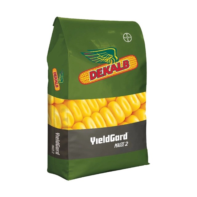 CORN_Green_Bag_Yellow_Corn_Dekalb_carousel_image_1